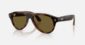 Ray-ban Meta (Gen 3) Aviator Shiny Havana Dark Brown