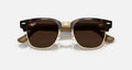 Ray-ban Meta Audio Clubmaster Shiny Havana Clear/Brown Standard