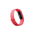 Google Fitbit Air Classic Berry