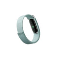 Google Fitbit Air Classic Fog