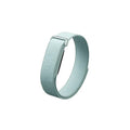 Google Fitbit Air Classic Fog
