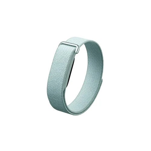 Google Fitbit Air Classic Fog