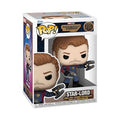 FUNKO POP VINYLGuardians of the Galaxy Star Lord 1201 Ready Stock