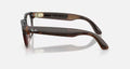 Ray-ban Meta (Gen 2) Scriber Optics Shiny Transparent Umber Demo Lens Standard
