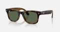 Ray-ban Meta (Gen 3) Wayfarer Polished Havana G-15 Green Standard