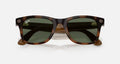 Ray-ban Meta (Gen 3) Wayfarer Polished Havana G-15 Green Standard