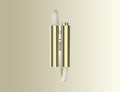 Luffu Link LTE Health & Safety Band Halo Gold