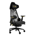 Asus ROG Destrier Edition 20 Gaming Chair