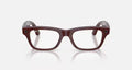 Ray-ban Meta (Gen 2) Blayzer Optics Shiny Brick Brown Demo Lens Standard